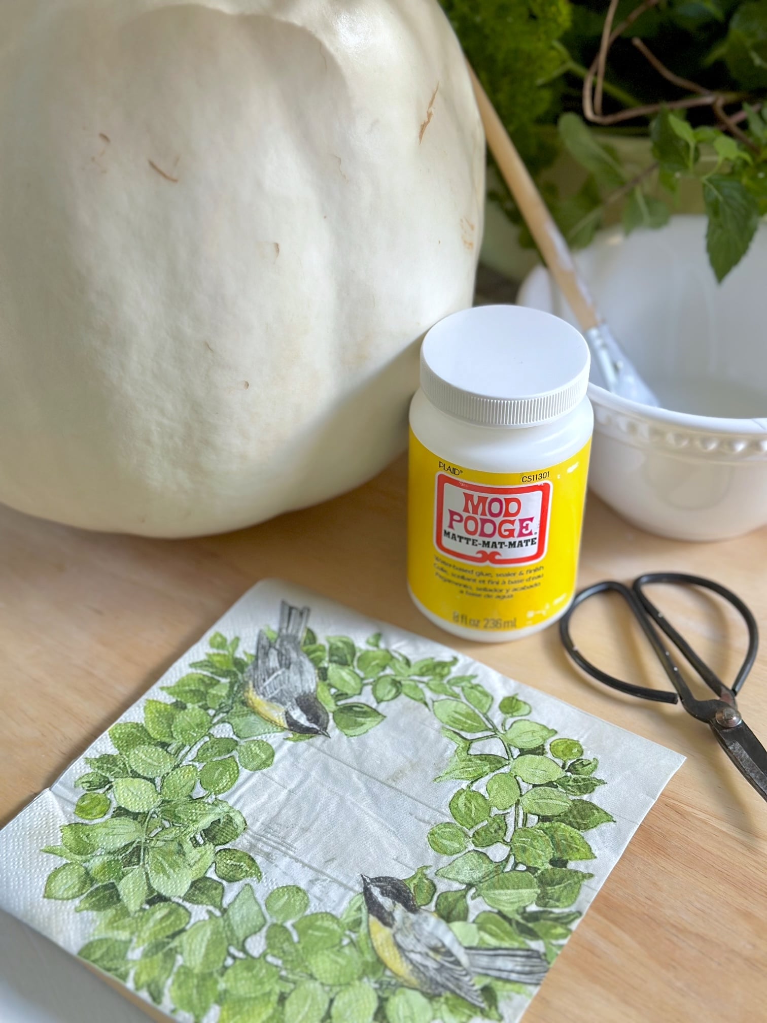 Supplies, white pumpkin, mod podge and a napkin with a wreath. 