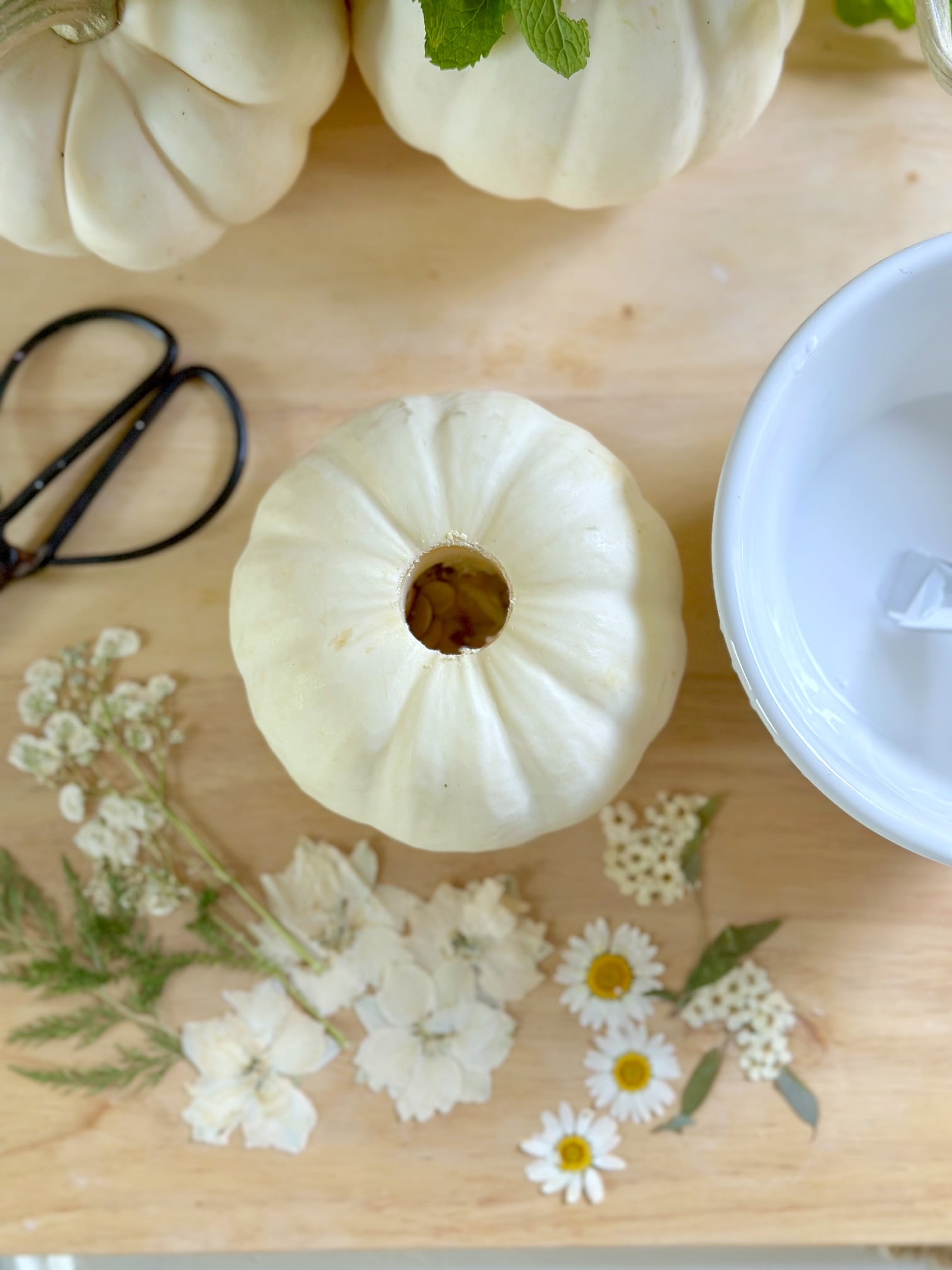 Top view of mini white pumpkin carved out for a taper candle. With pressed flowers and a bowl of mod podge.