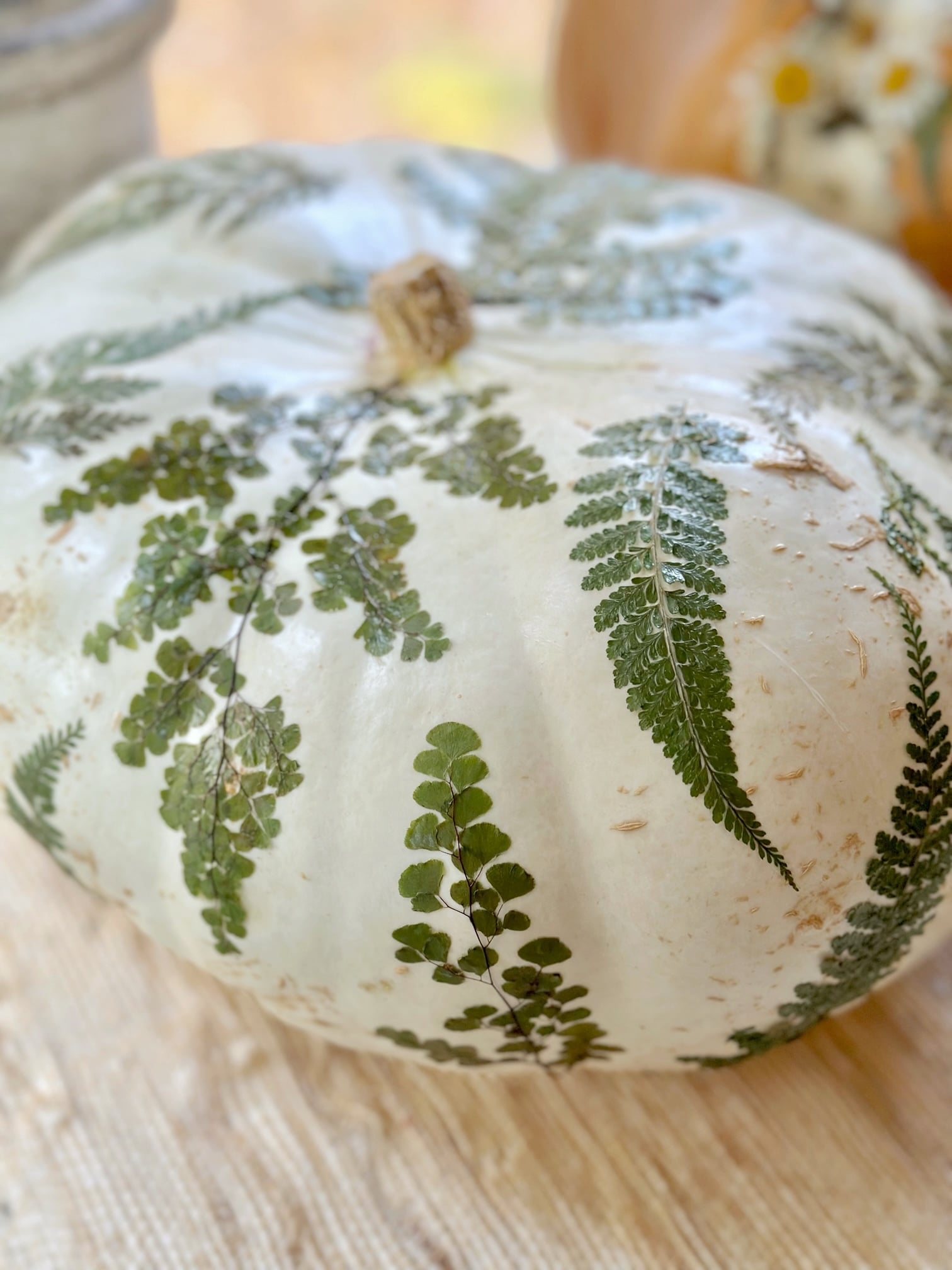 Large white pumpkin with greens.