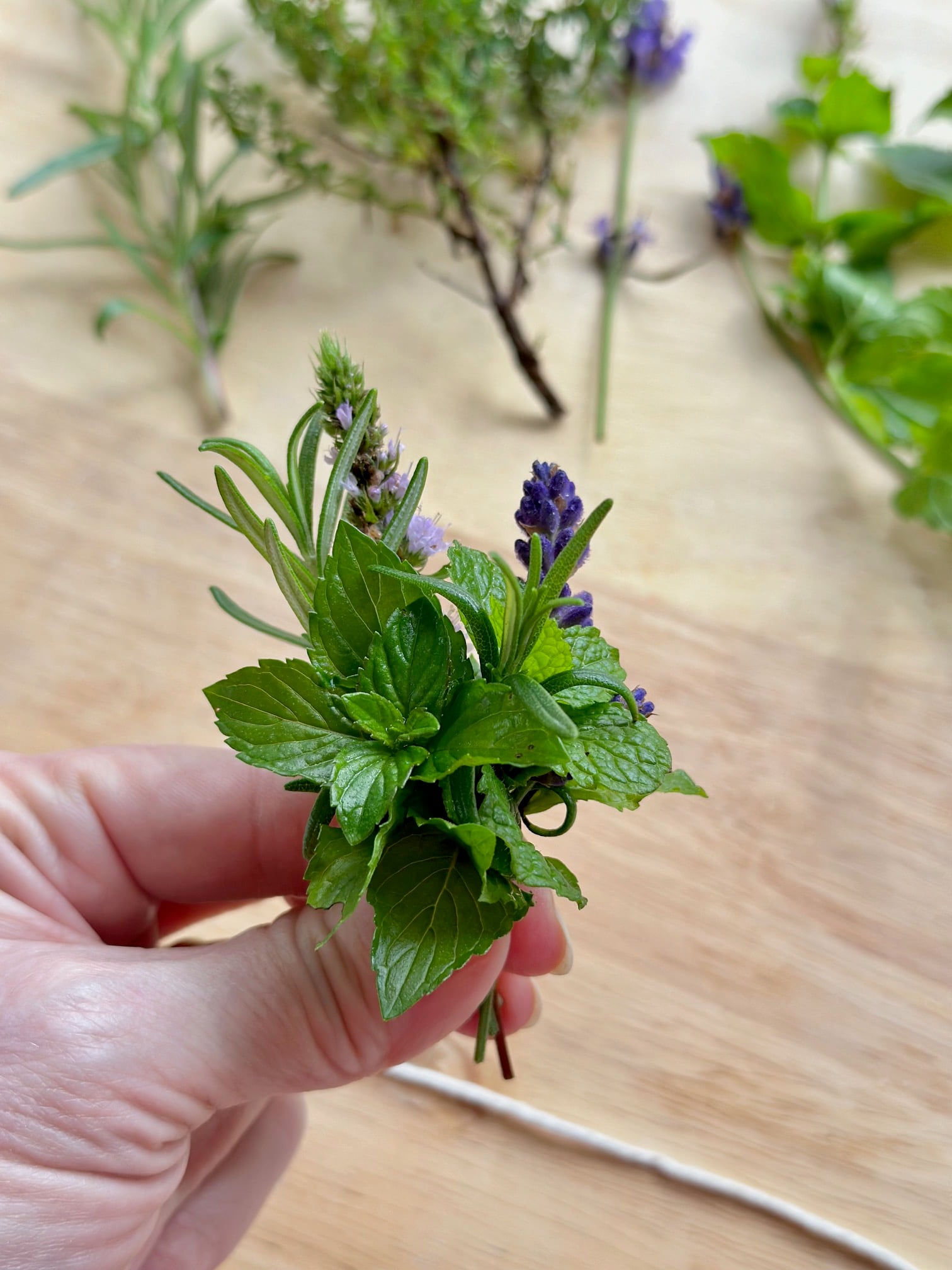 A small cluster of assorted herbs. 