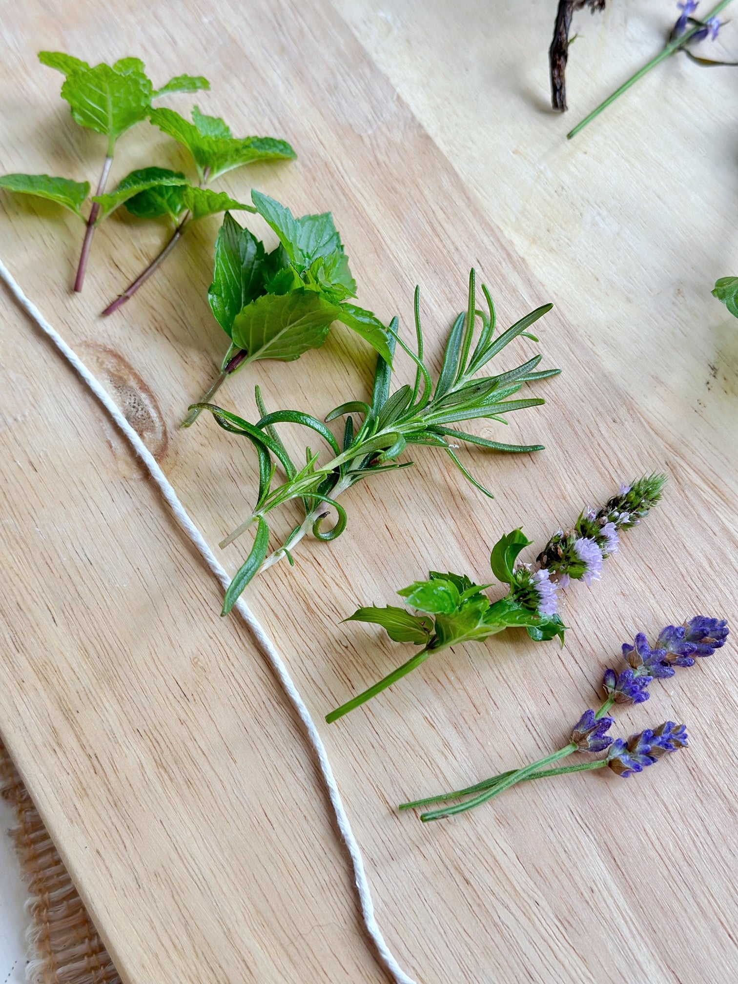 Small stems of herbs laid out with a cut piece of twine for wrapping. 