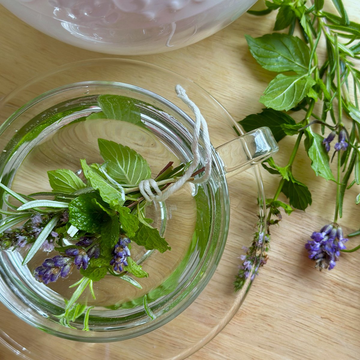 A small cluster of fresh herbs floating in a clear glass tea cup with herbs laying on the side.