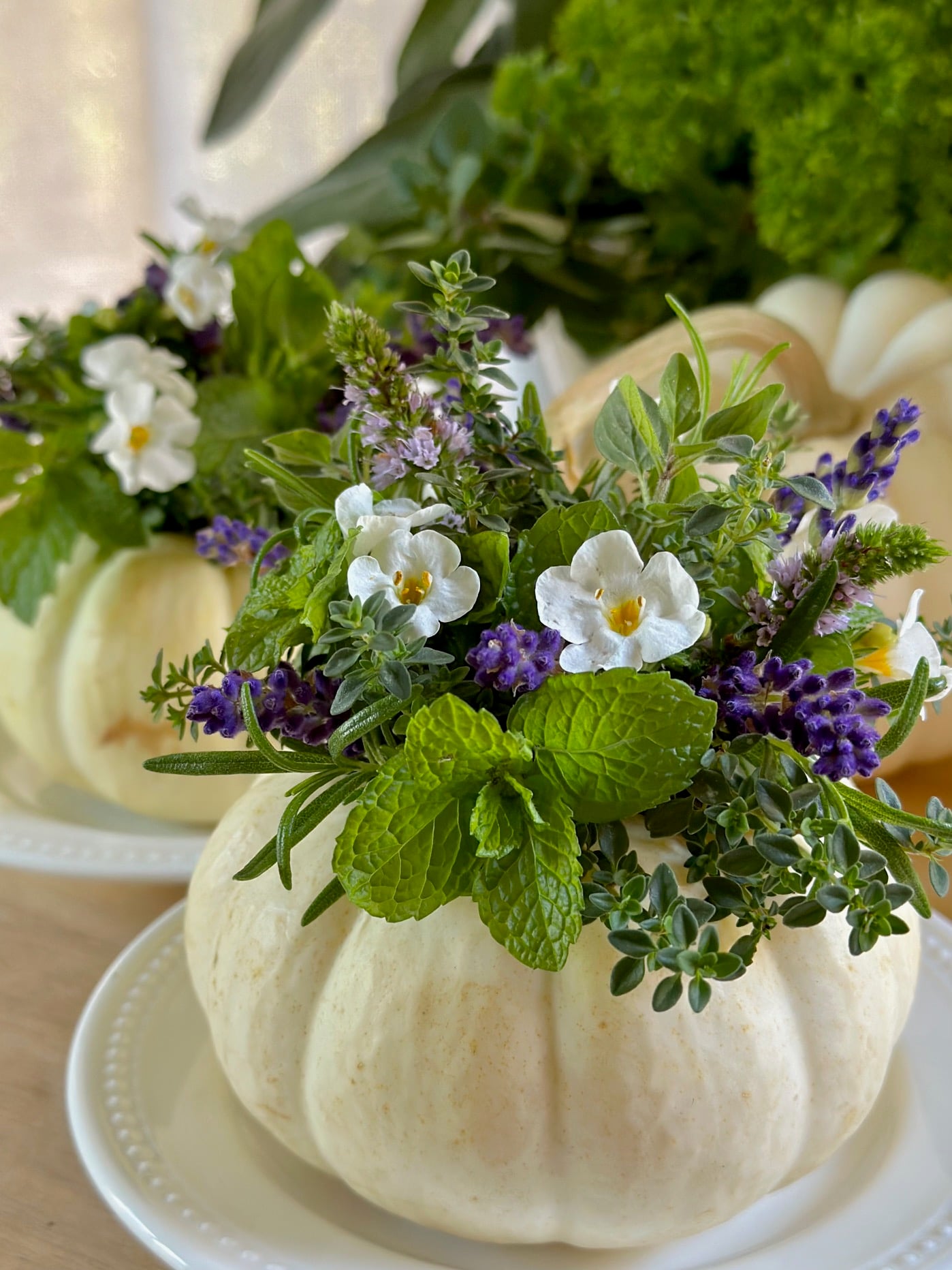 Mini white pumpkins with herbs and flowers.