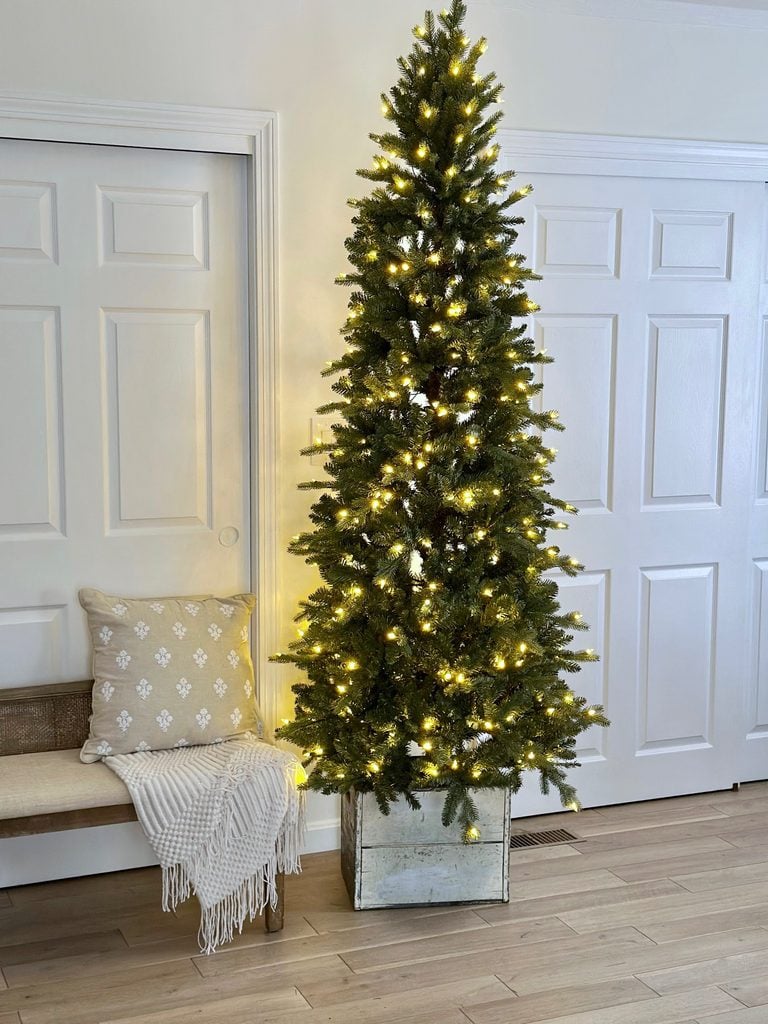 Christmas tree in a large crate.