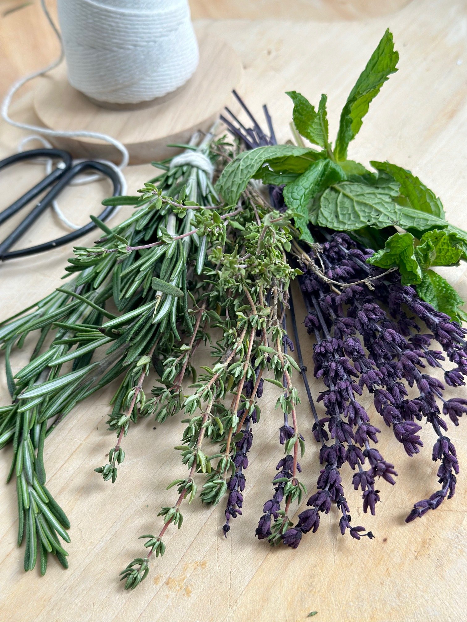 Clusters of grown herbs. 