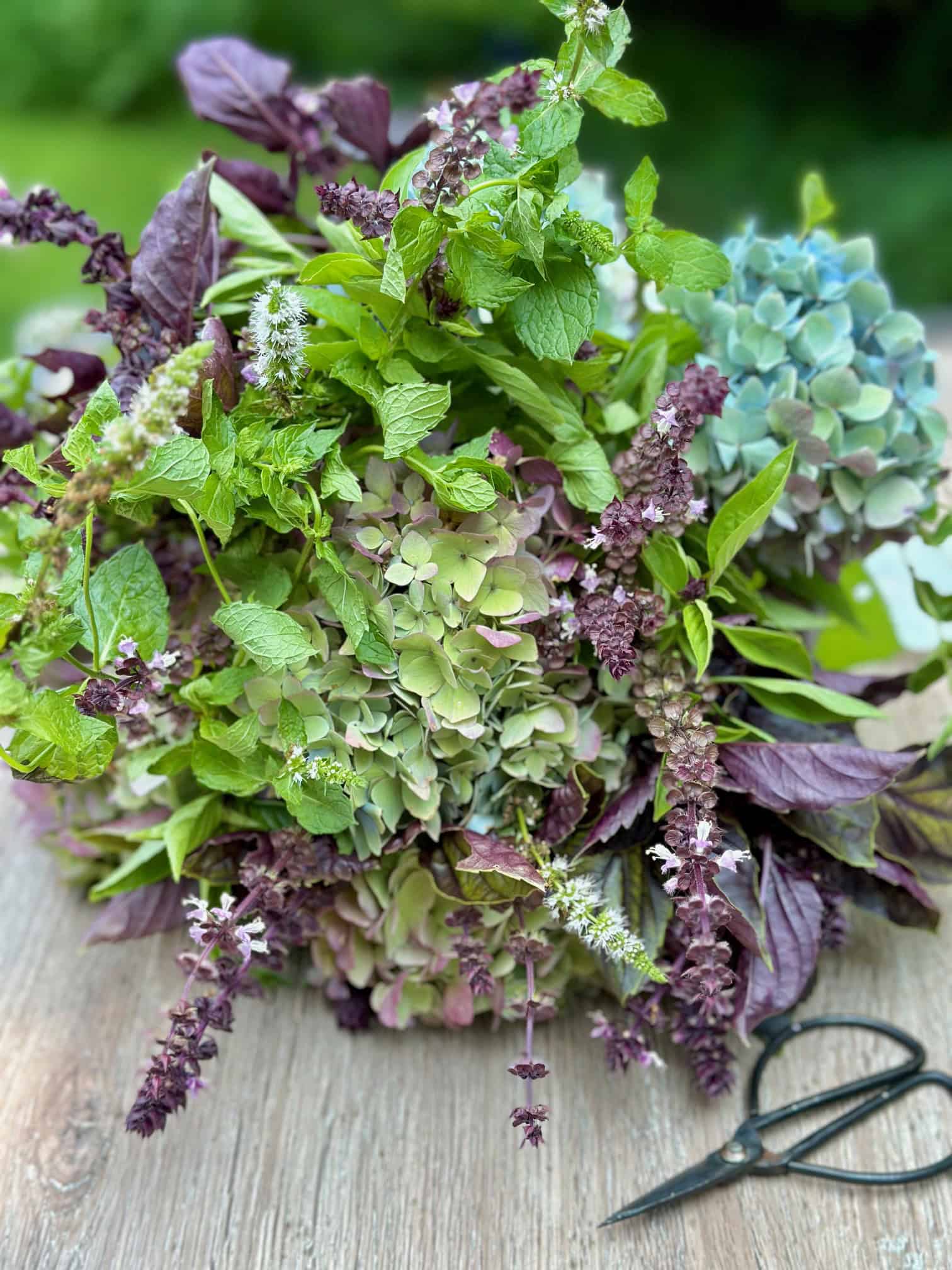 A hand tied bouquet of thai basil, purple basil, flowering mint and hydrangea.