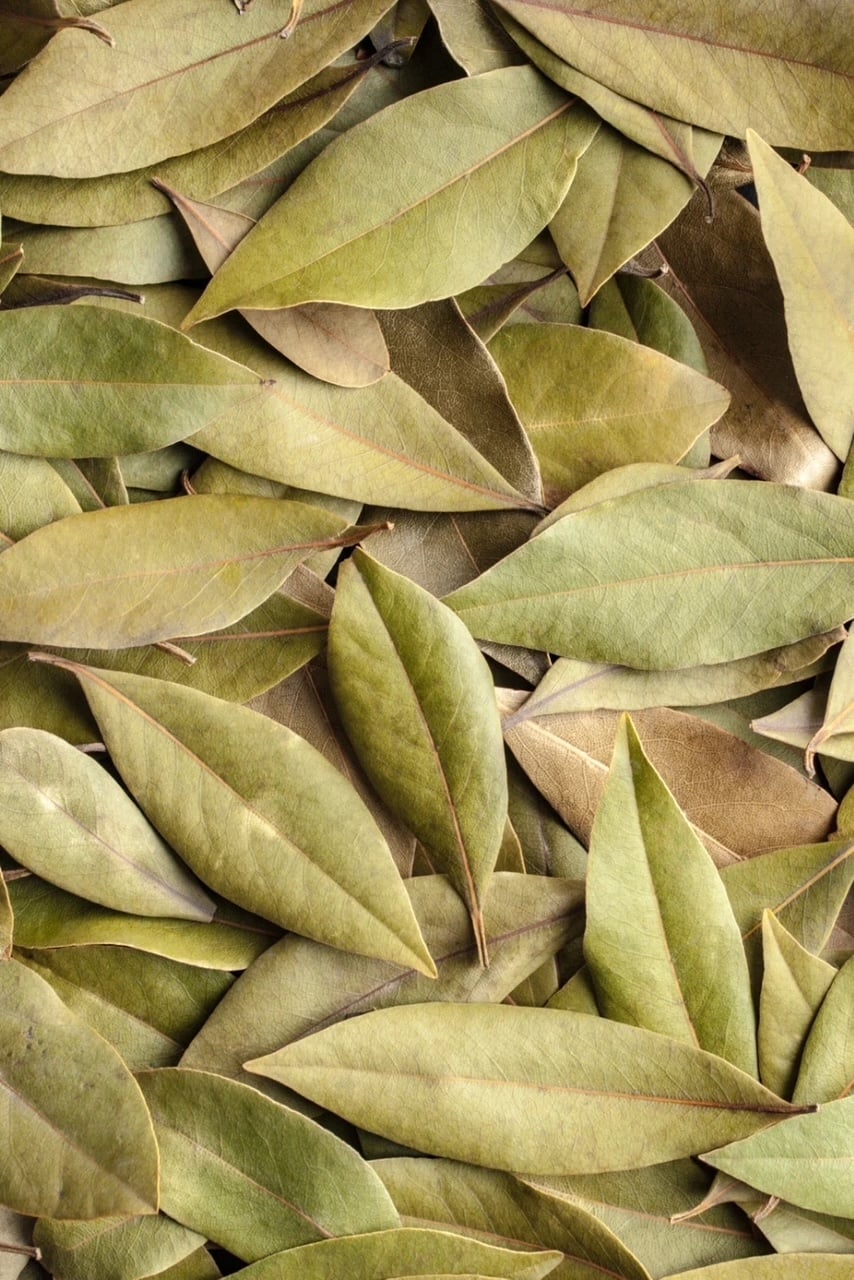 Dried bay leaves in a pile. 