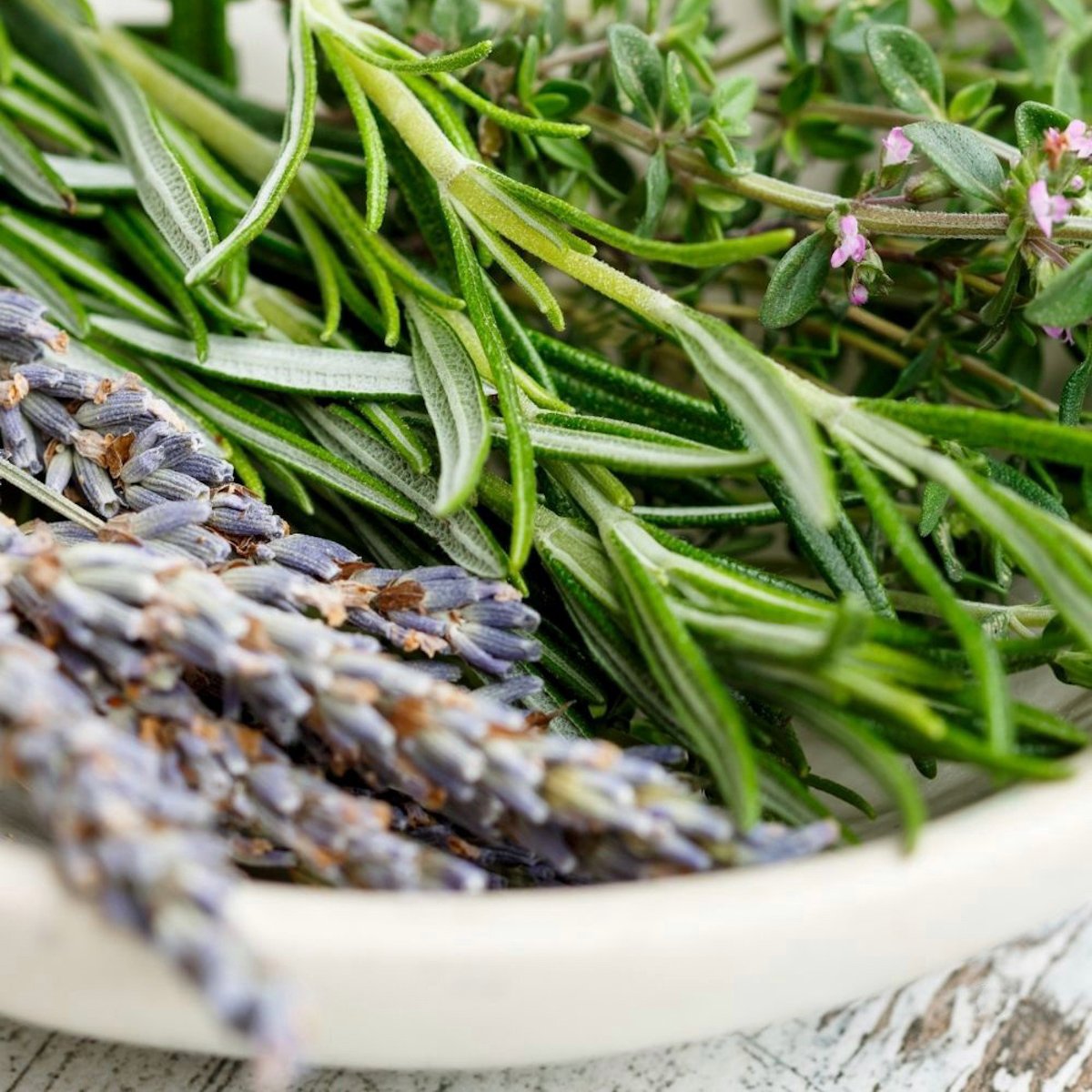 Herbs for Success: From Ancient Wisdom to Modern Goals