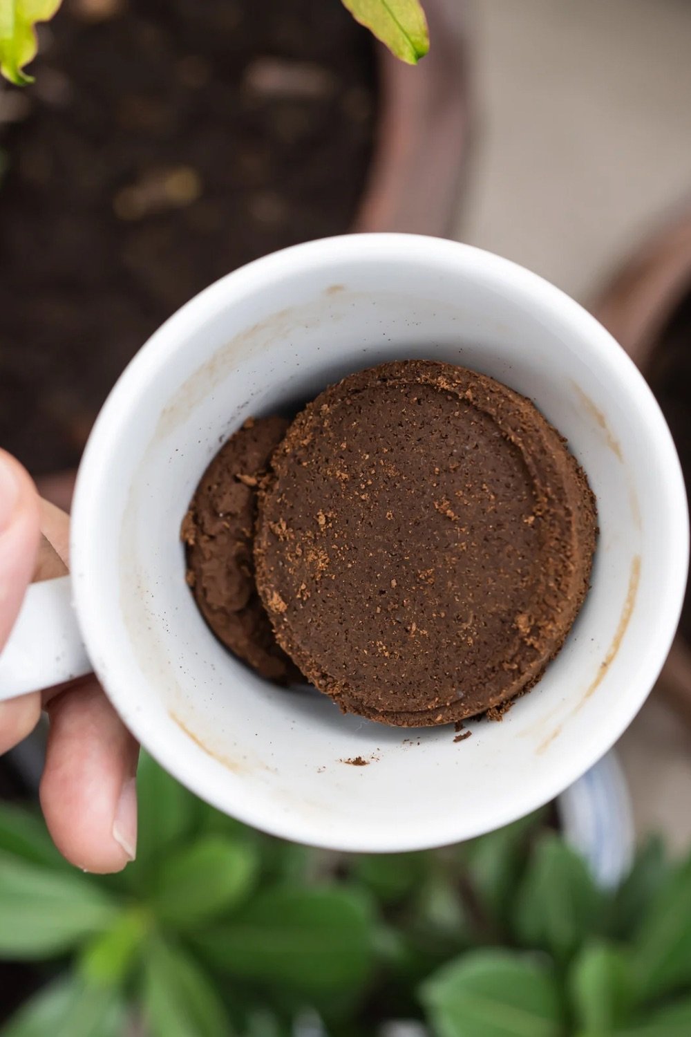 Coffee grounds in a white coffee mug.