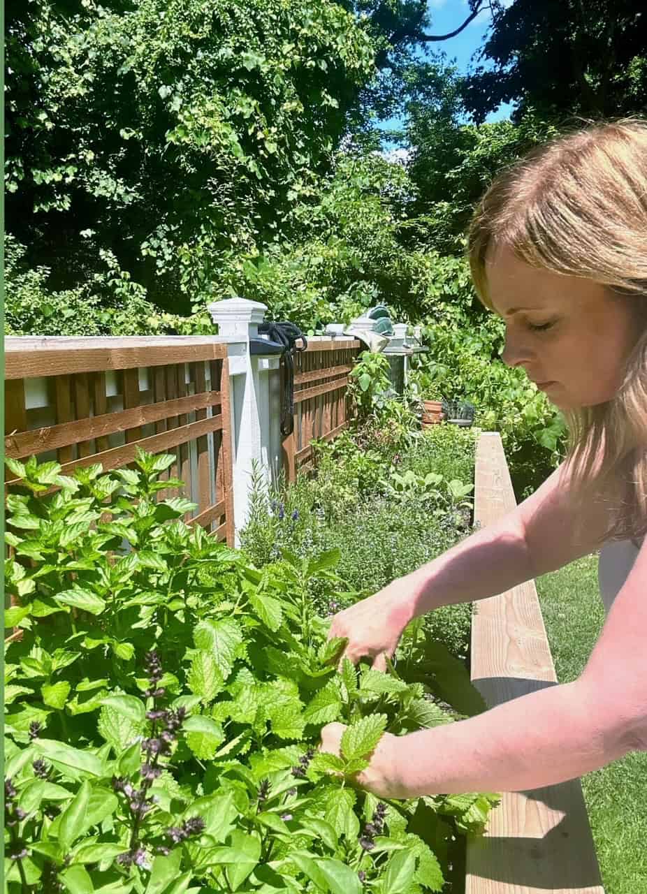 Me tending to my lemon balm in my raised bed herb garden. 
