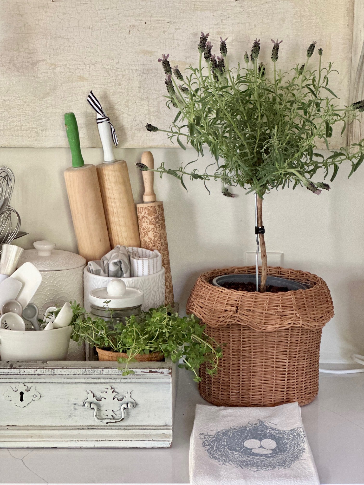A larger scallop basket with a large lavender tree. 