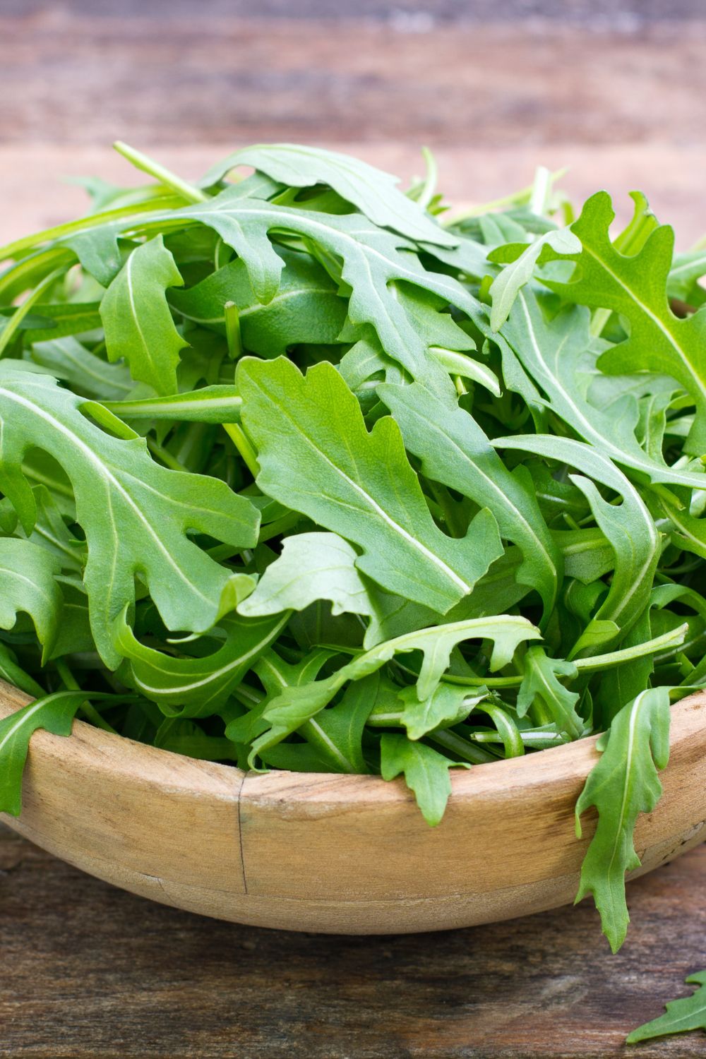 Arugula in a wooden bowl. 