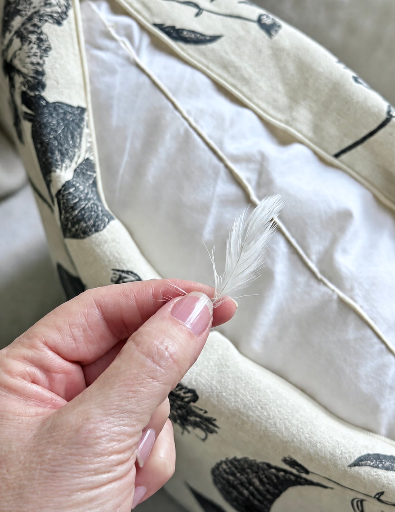 A feather pillow insert.