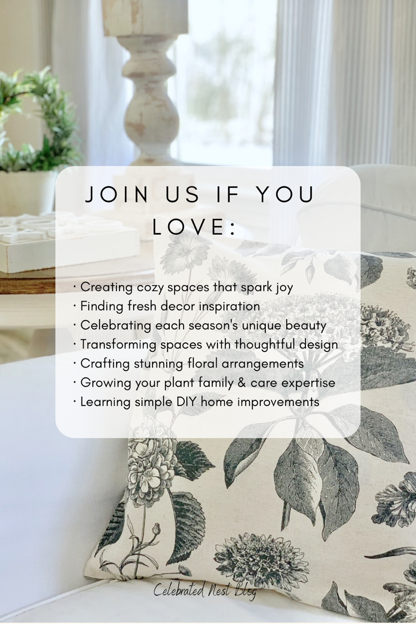 An image of pillows on a white sofa. This image invite readers to join our newsletter.  