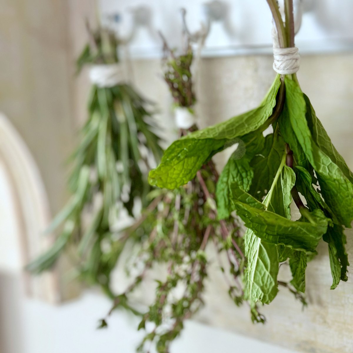 3 bundles of fresh herbs tied with twine hanging in my kitchen.