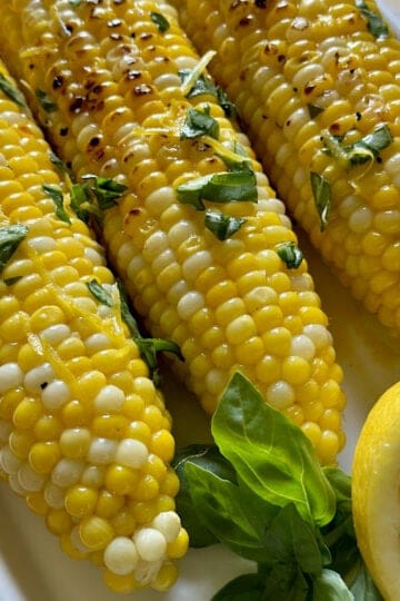 Beautiful corn on the cobb with fresh basil.