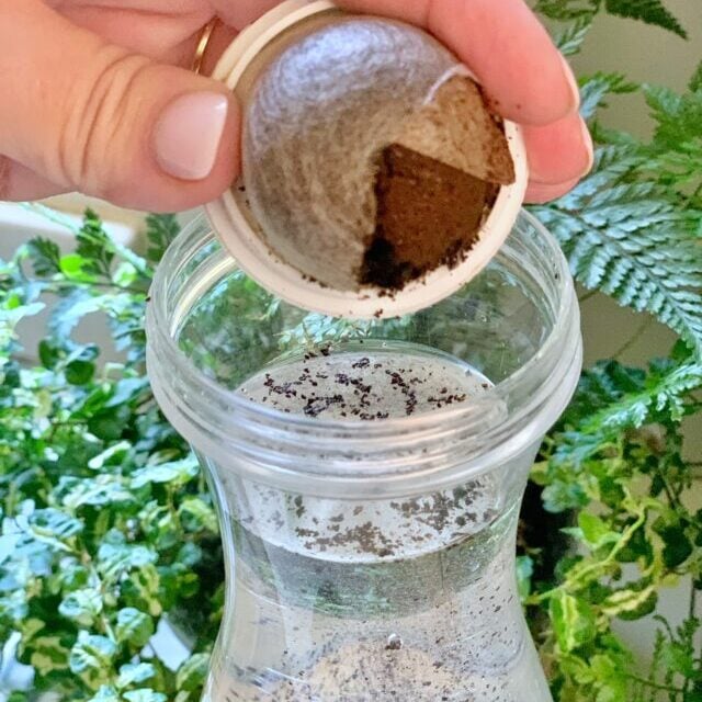 Pouring the used coffee from a coffee pod into water that is in a tall container.