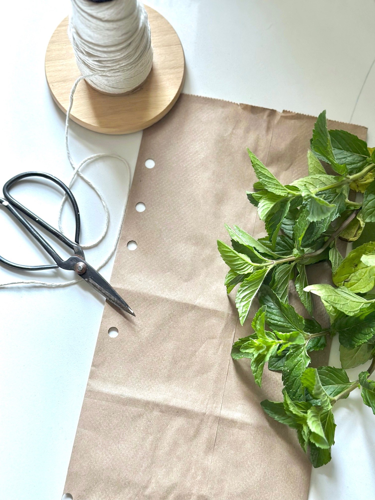 A paper bag, scissors, spearmint and twine. 