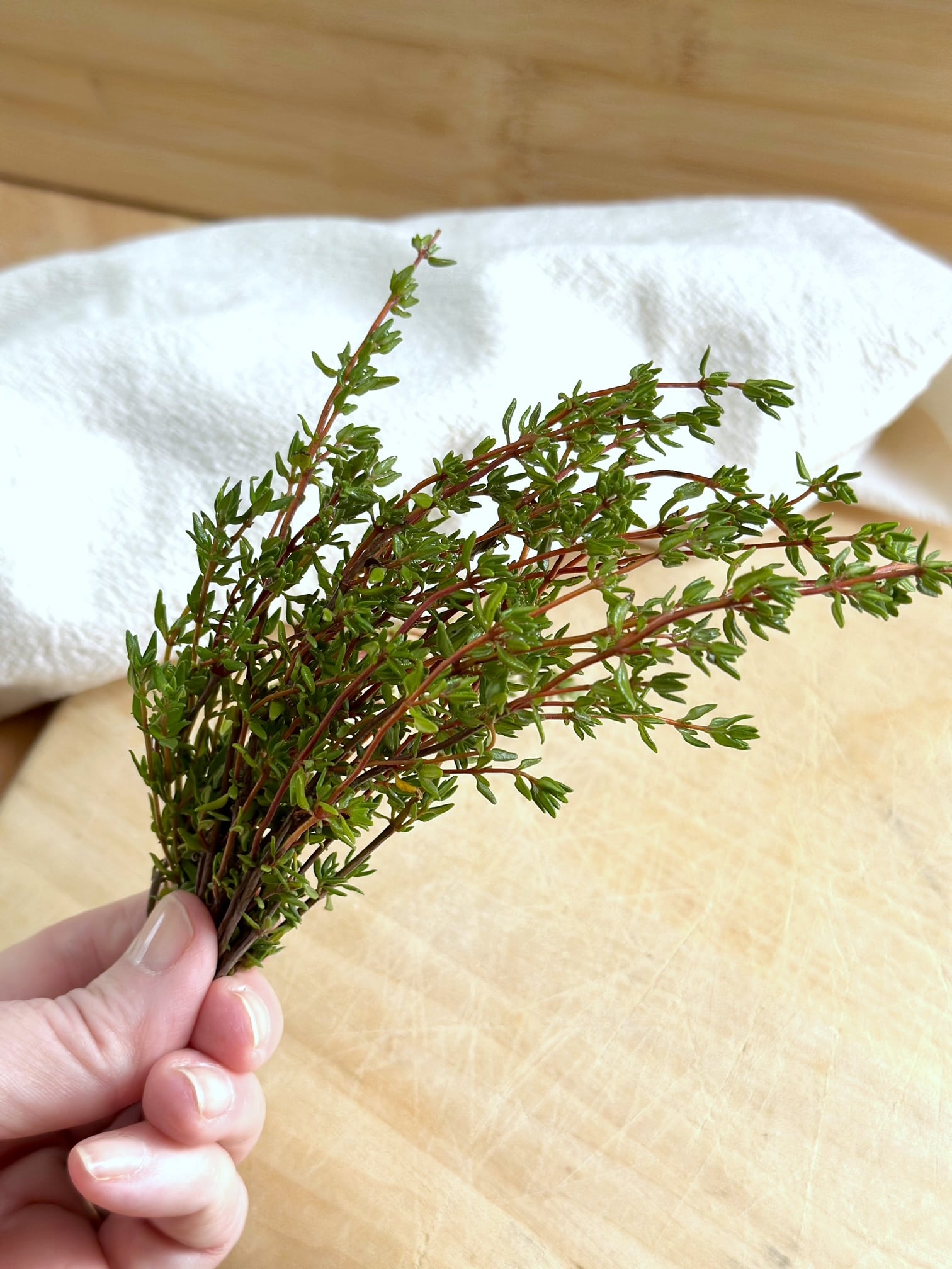 A bundle of dried thyme. I like to keep the full stems after drying. 