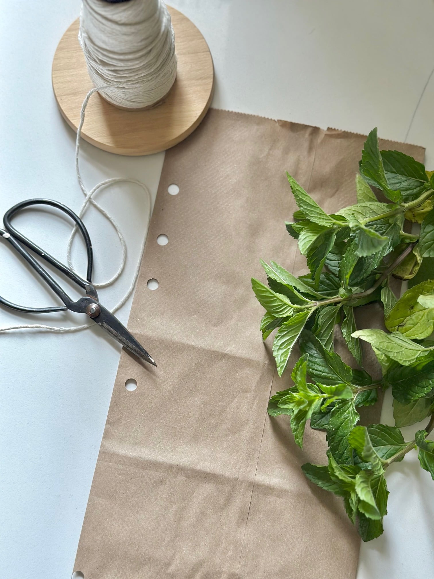 Spearmint, a brown paper lunch bag with holes punches in. Twine and stems of fresh cut spearmint. 