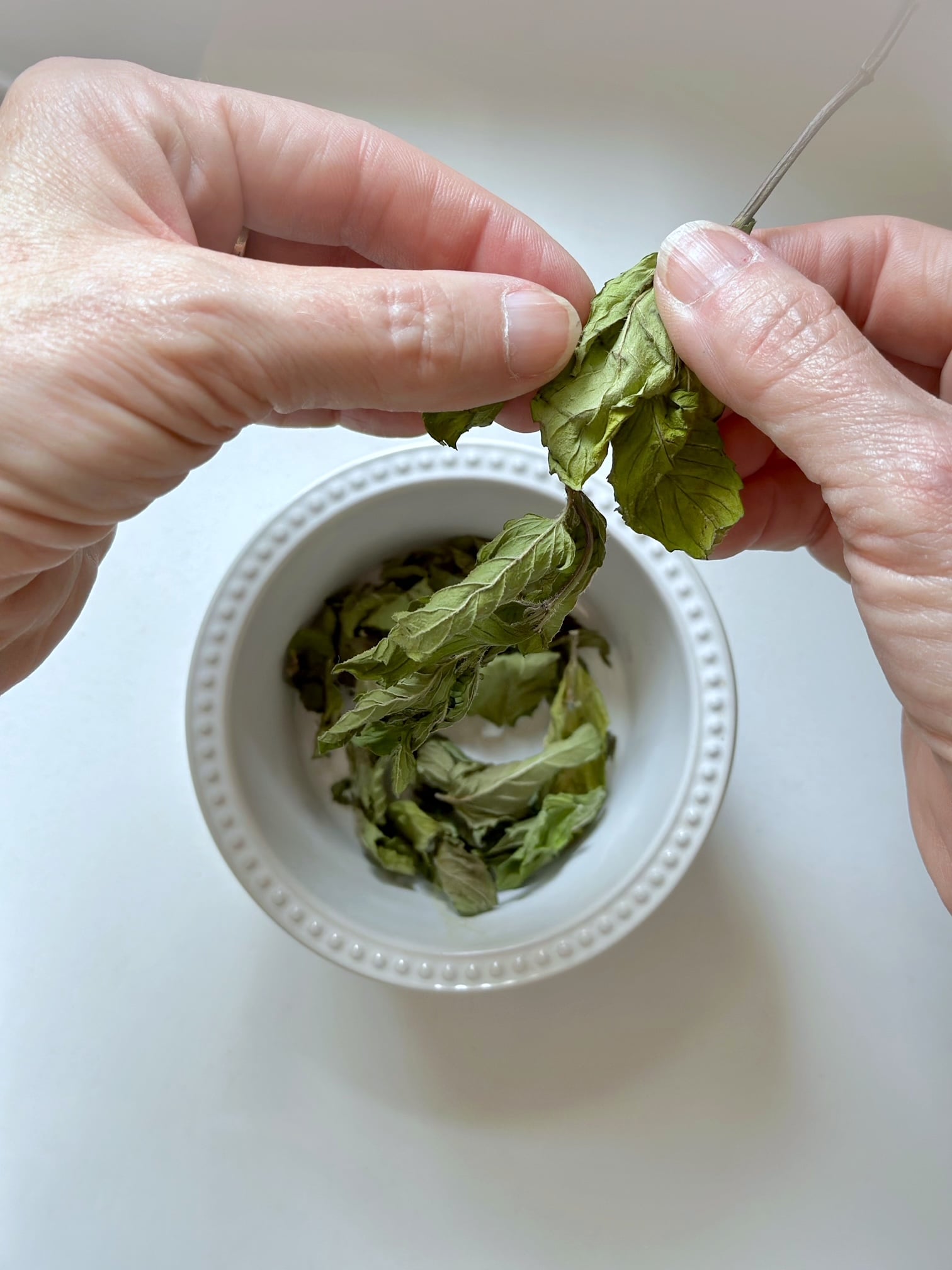 Removing dried leaves from the stem.