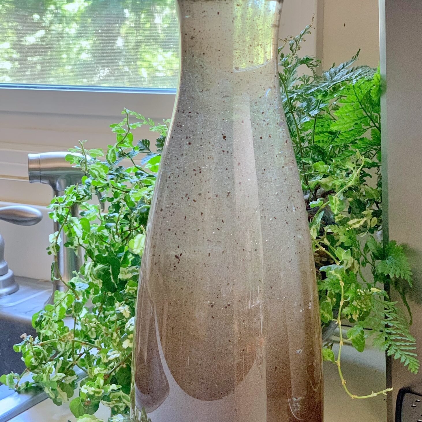Coffee grounds in with water in a clear plastic container.