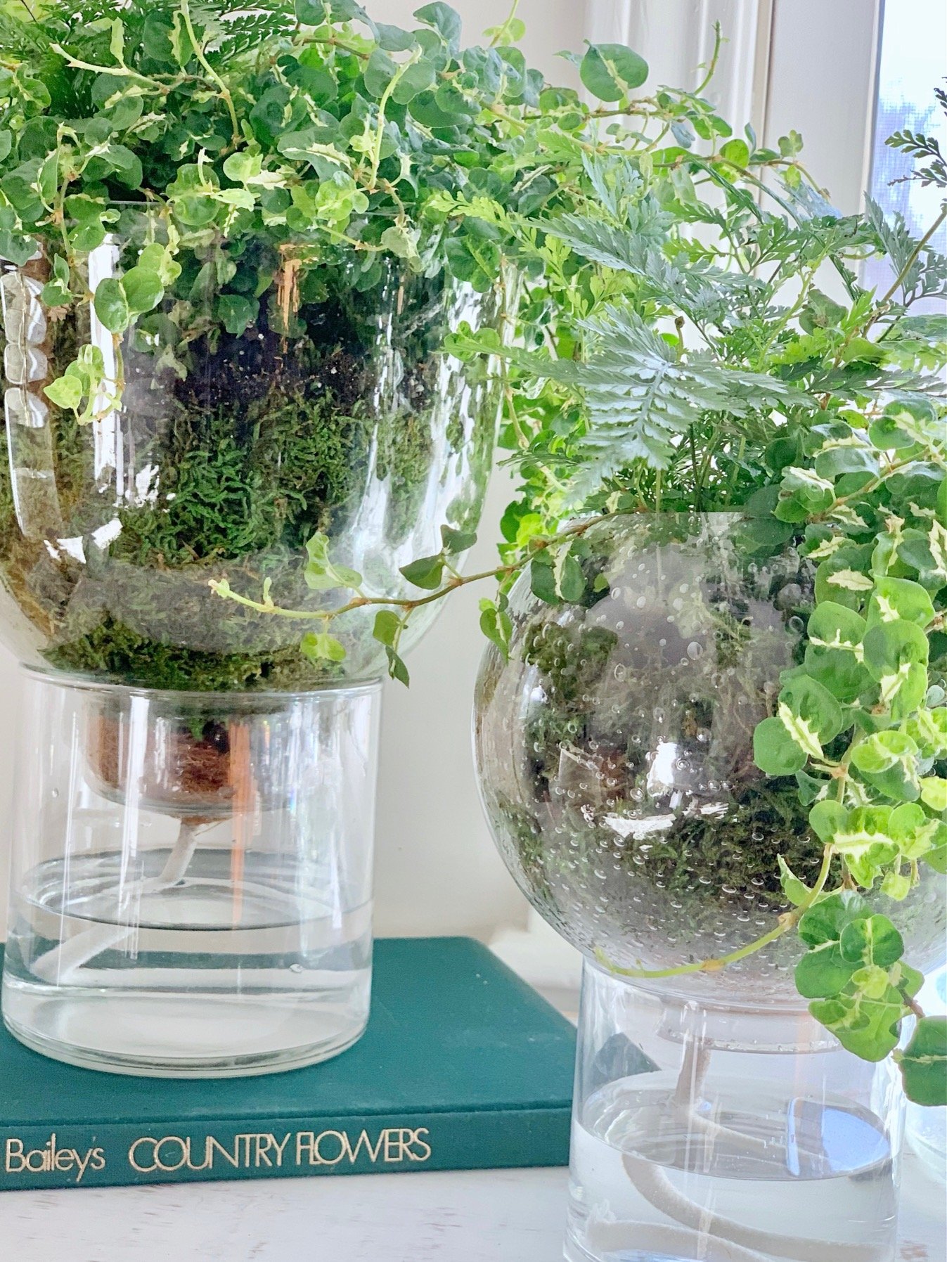 Large DIY self watering planters on books.