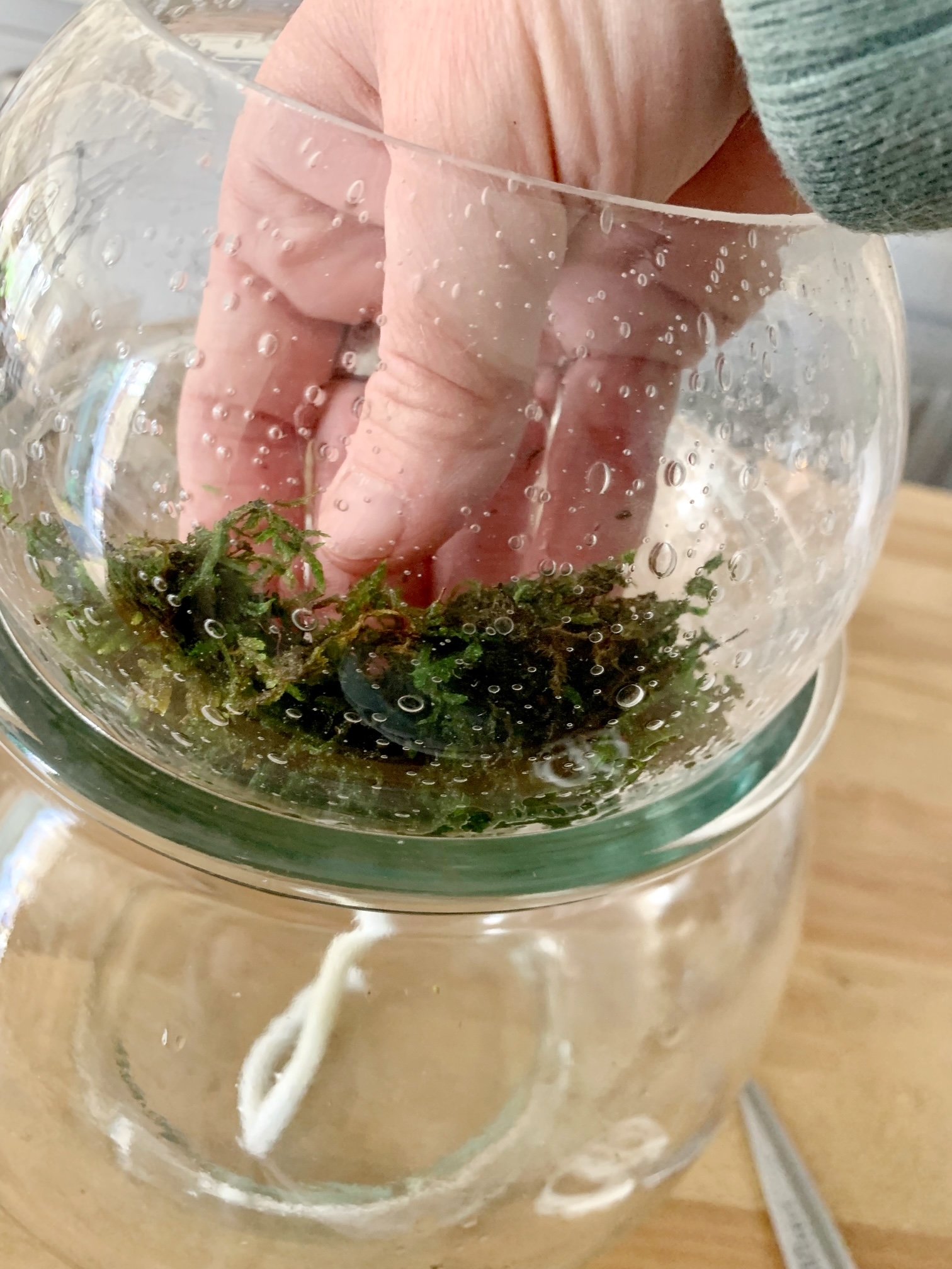 Pressing the wet moss along the inside wall of the globe.