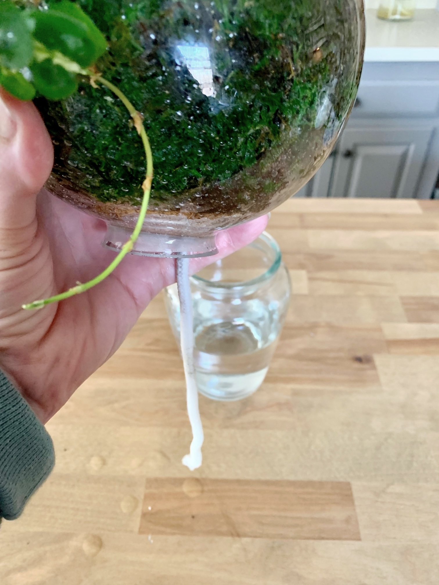 The wick hanging below the globe. This part of the wick goes into a vase full of water.