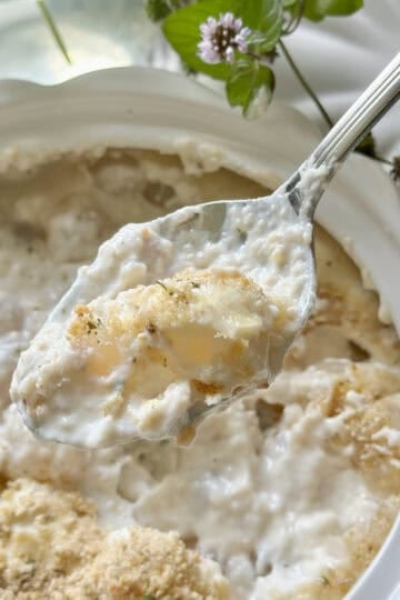 A forkful of creamy onions that have breadcrumbs, parmesan cheee and parsley on it.