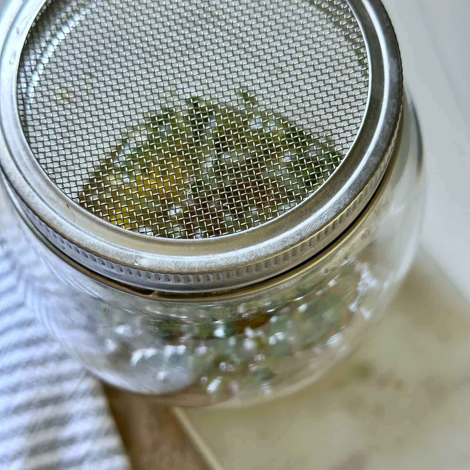 A mesh cover screwed onto the jar. 