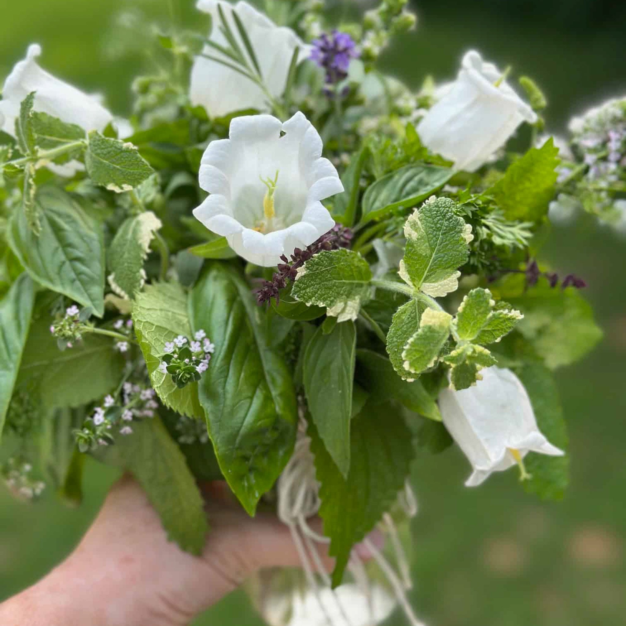 Beautiful jar filled with a variety of fresh herbs from the garden with a few fresh flowers. 