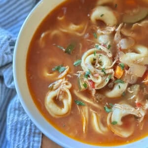 A beautiful hearty soup in a tomato broth with cheese tortellini, vegetables, chicken and fresh herbs.