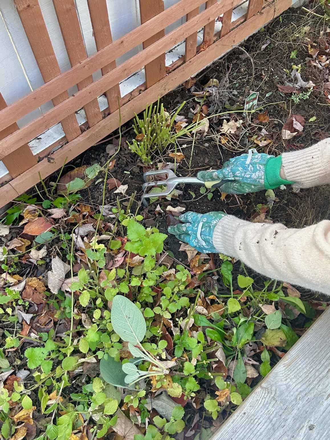 Cleaning up the bed, removing the debris. 