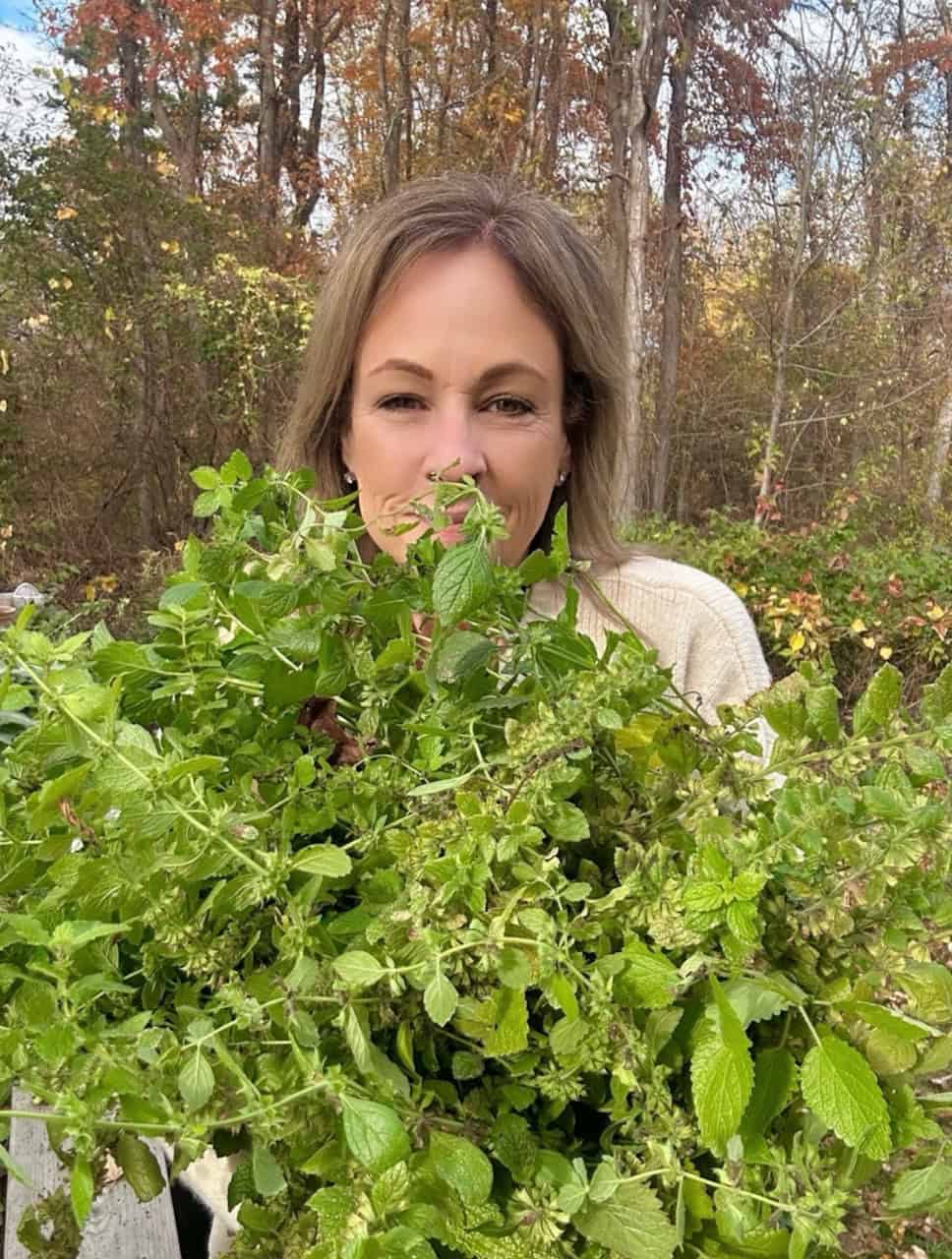 My harvest! A huge bundle of herbs cut from the garden. 
