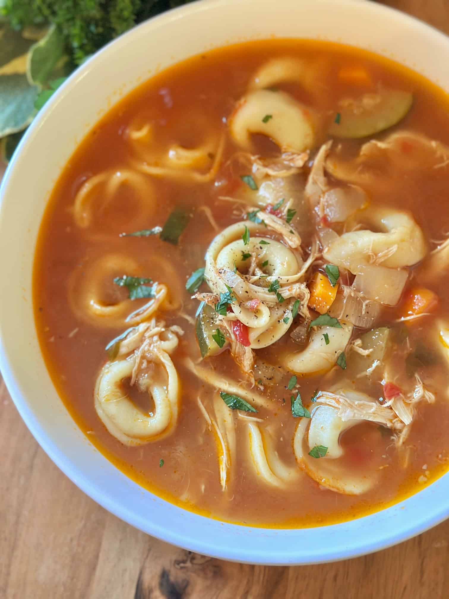 A close up view of the herbs in this Italian chicken tortellini soup. 