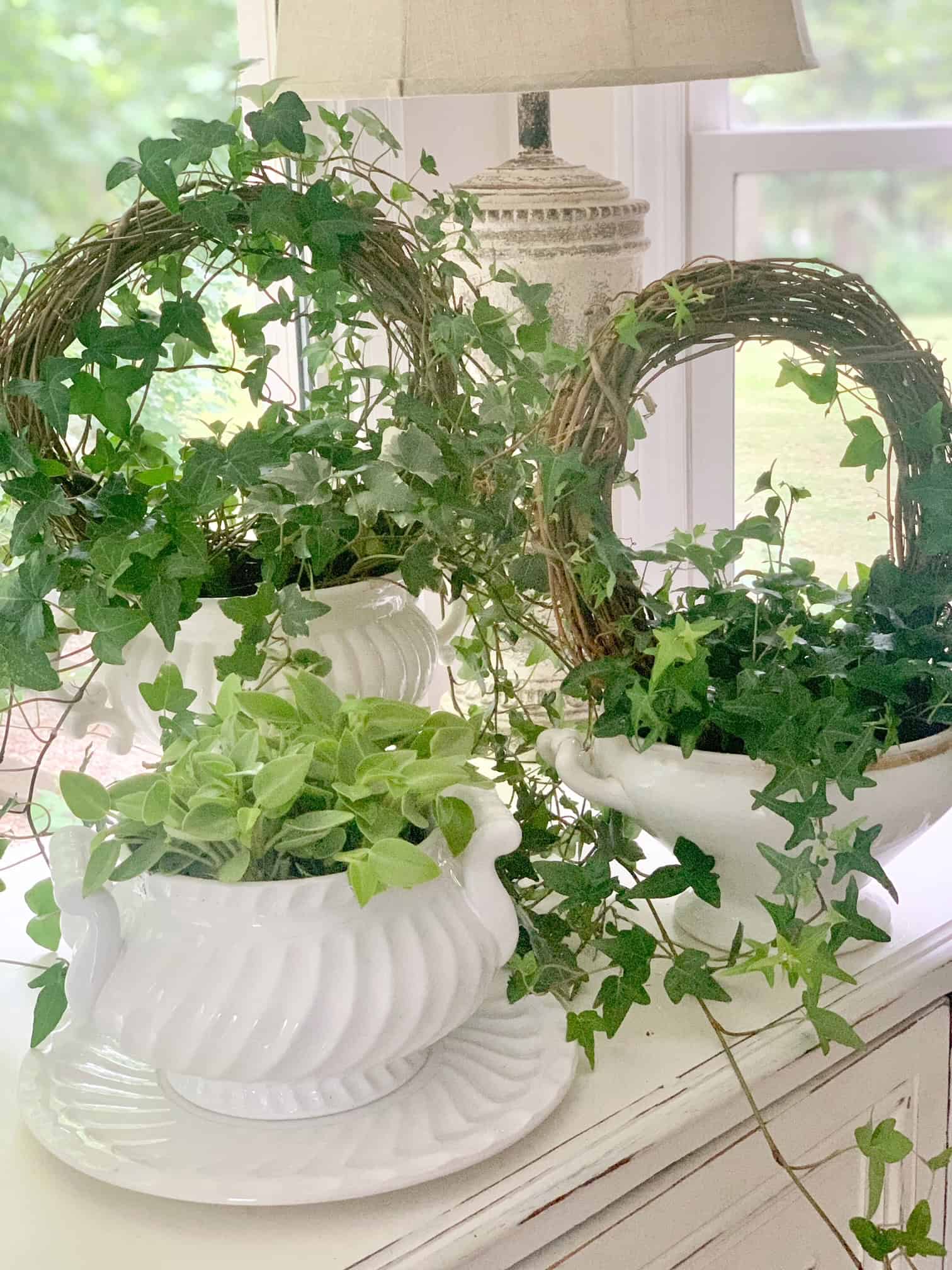 Grapevine wreath ivy topiaries.
