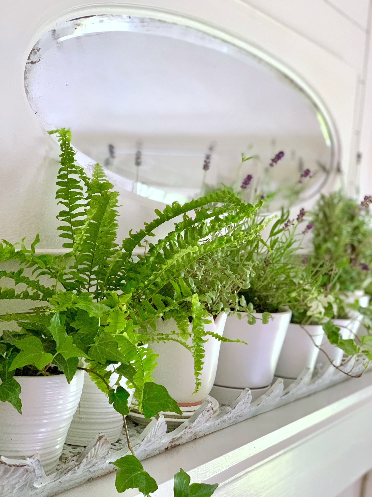 A row of green plants running along our mantel.