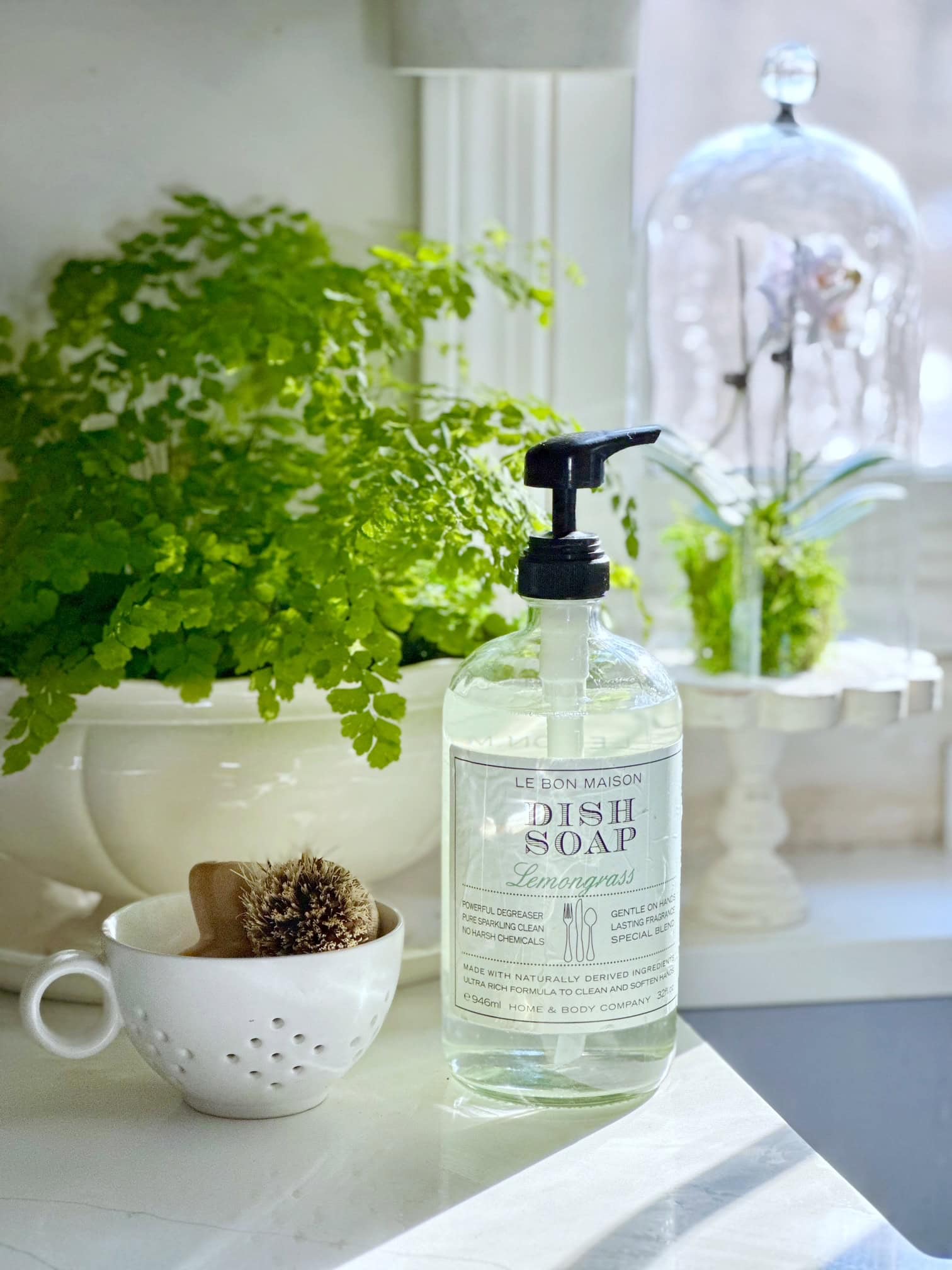 Maiden hair fern in a kitchen window. 