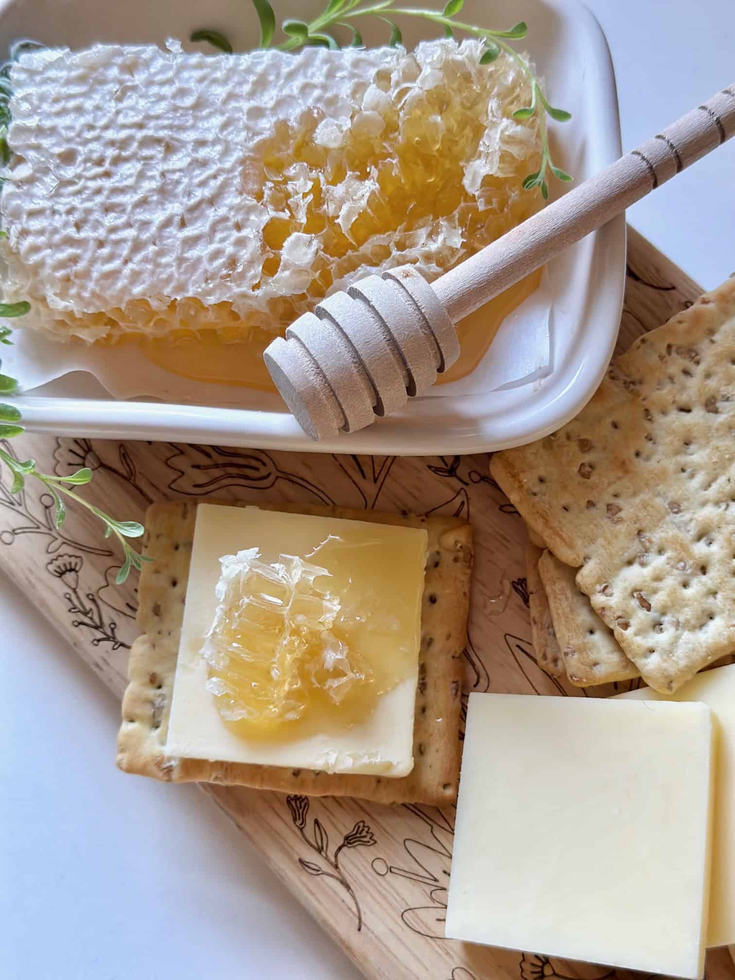 Honeycomb in dish with a cracker with cheese and honeycomb.