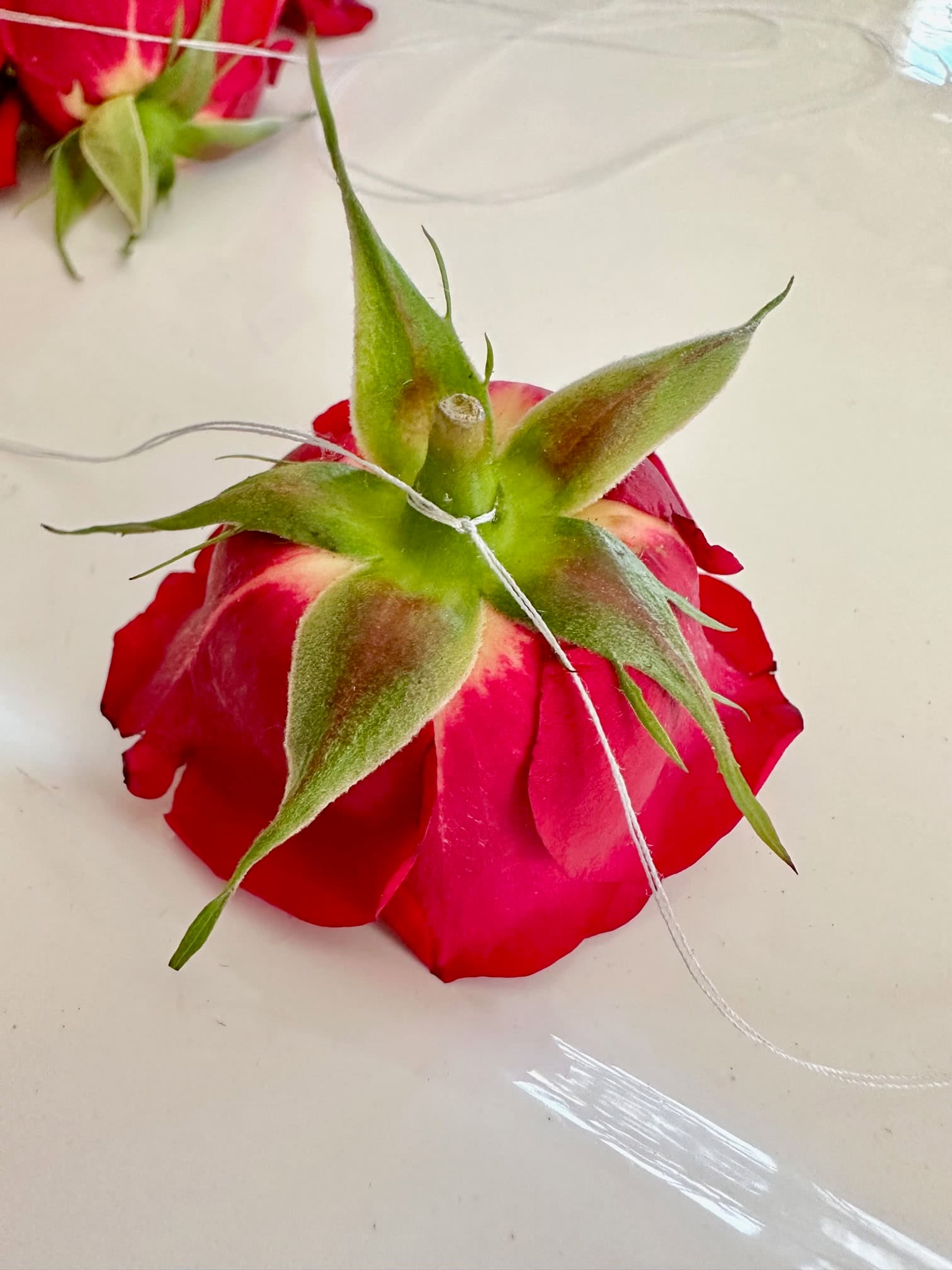 Tie the rose off with a knot.