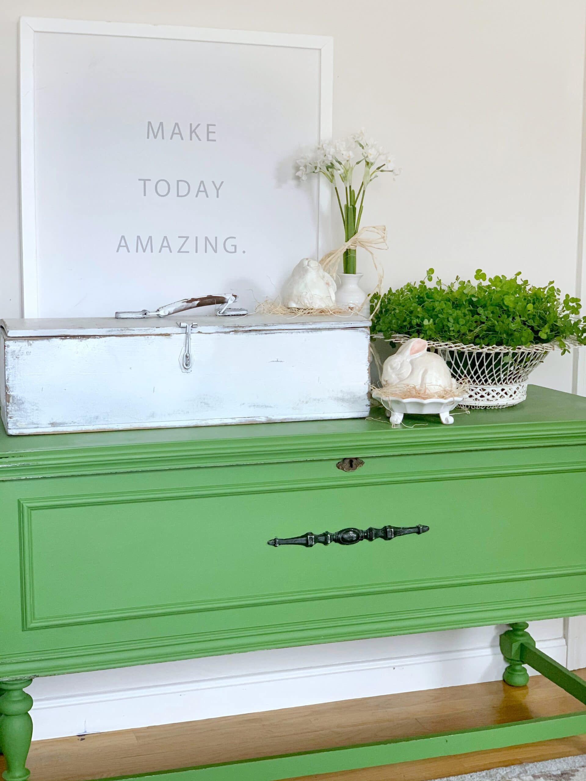 Shamrocks in a wire basket sitting on a bright green chest. 