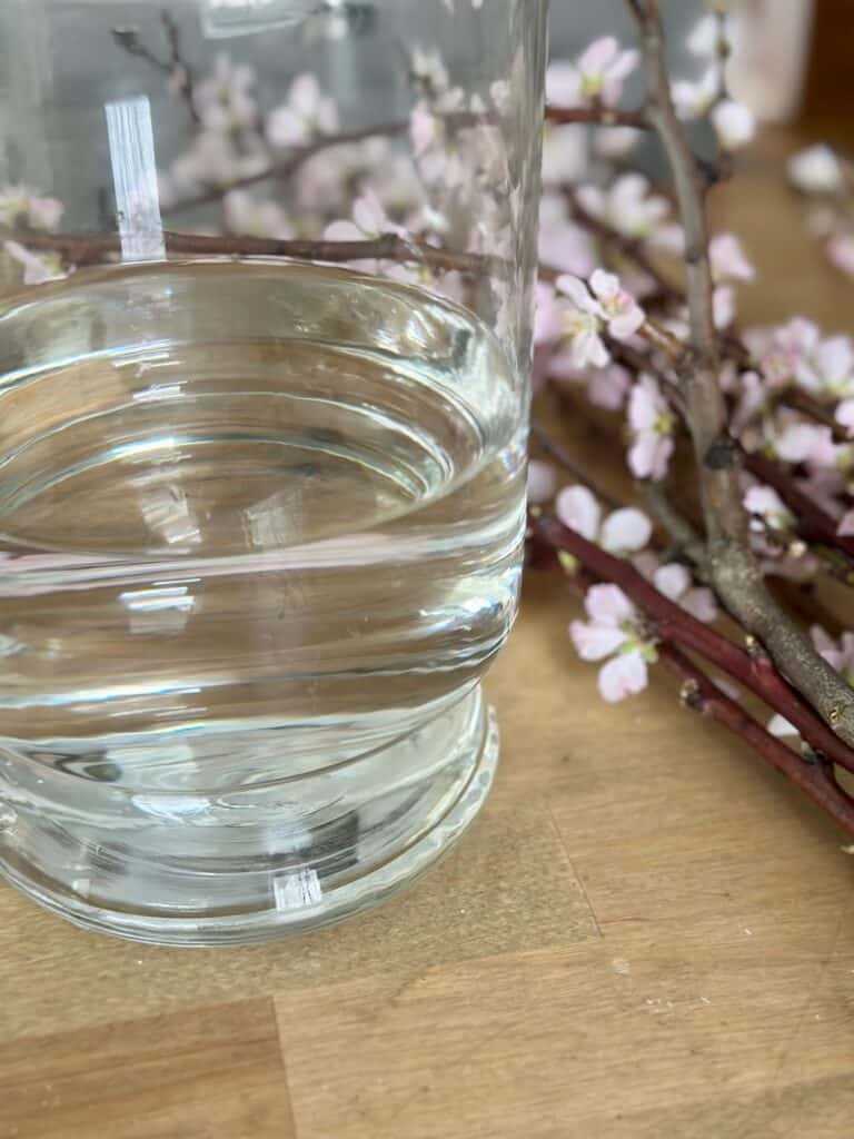 Fresh water for fresh cut flowering branches. 