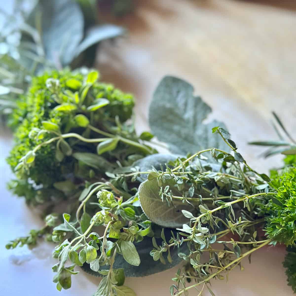 Abundance Herbs: 10 Herbs That Symbolize Prosperity and Growth