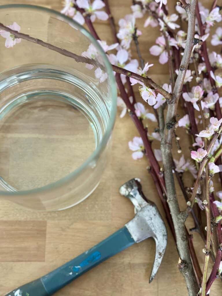 Supplies for arranging flowering branches. 