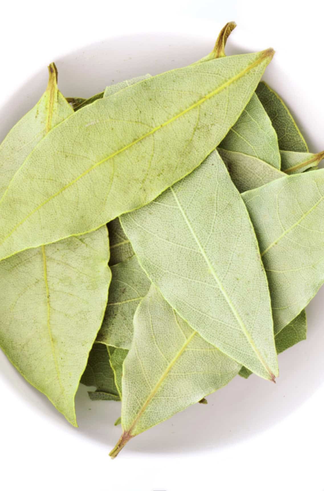 Dried bay leaves. 