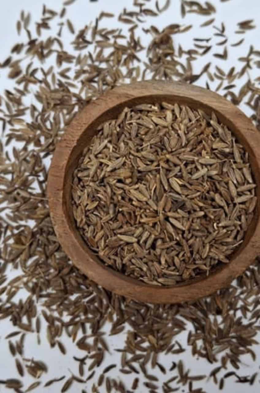 Fennel seeds in a bowl. 