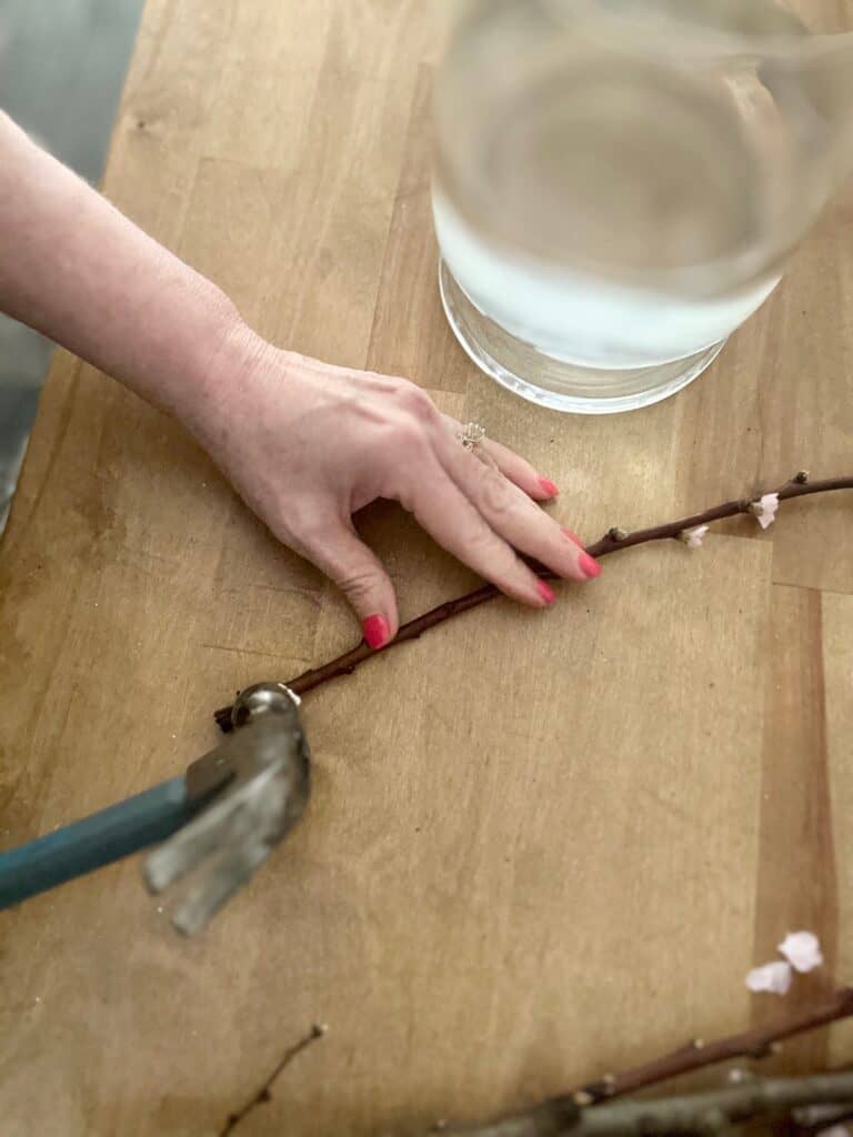 Use a hammer to open the woody stems. 