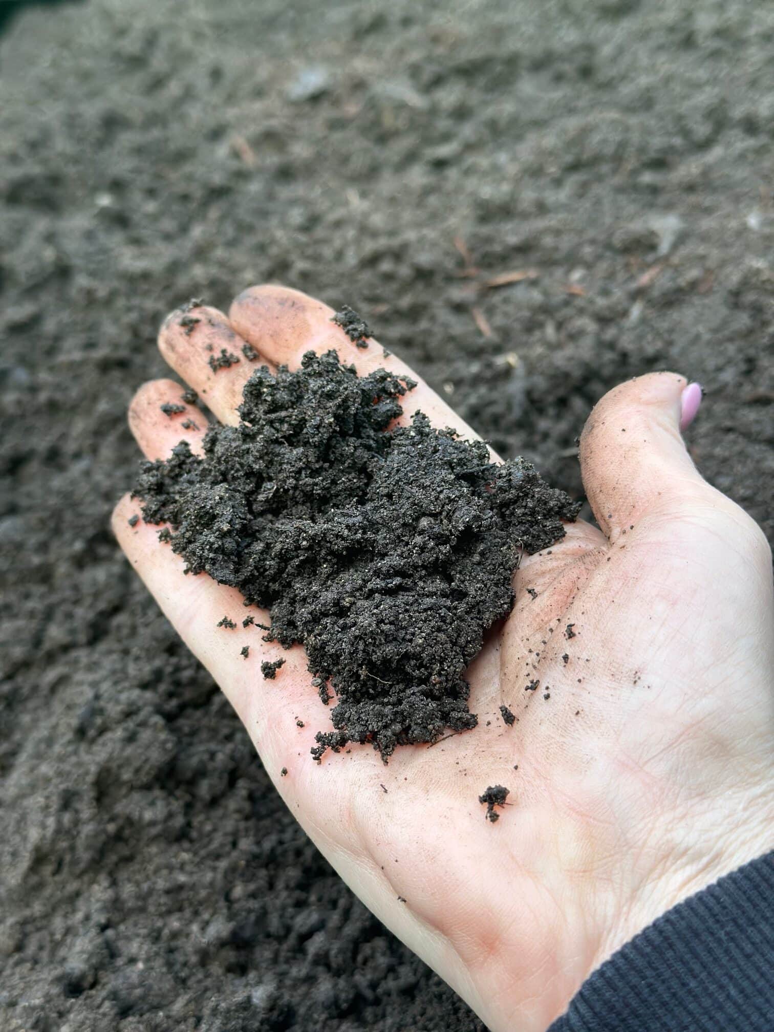 A handful of fresh soil. 