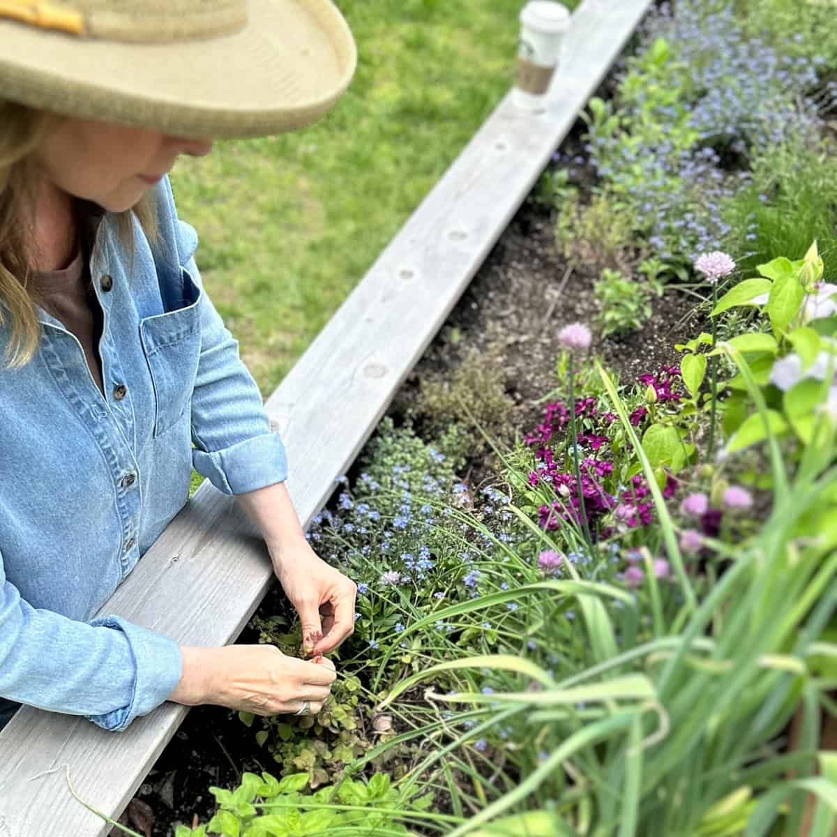 Me in my herb garden with flowers and herbs.